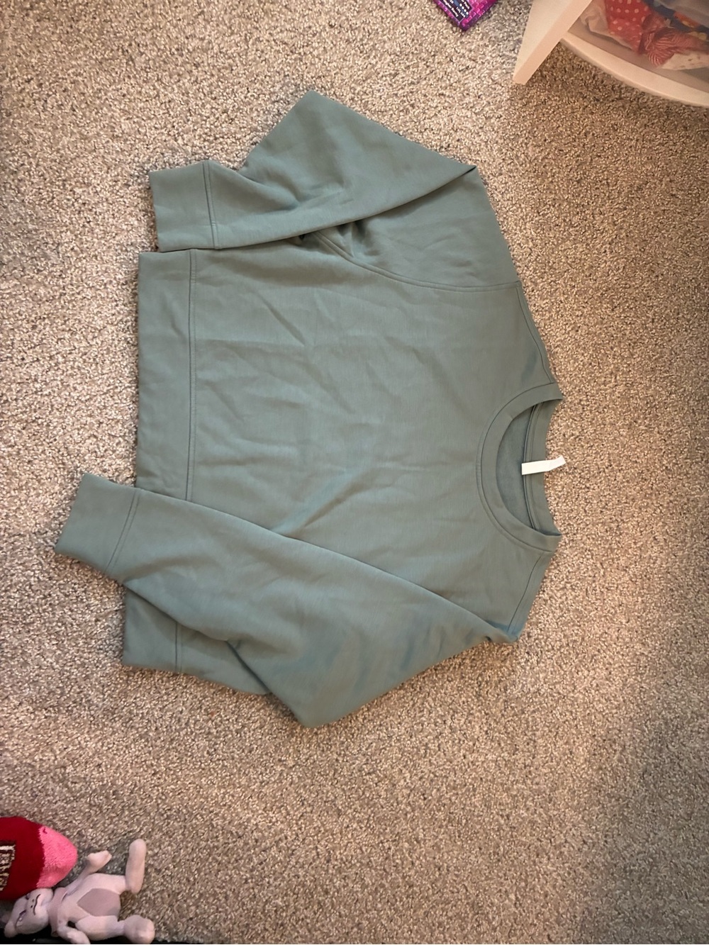 Zella Men's Crewneck Sweater in Sage Green